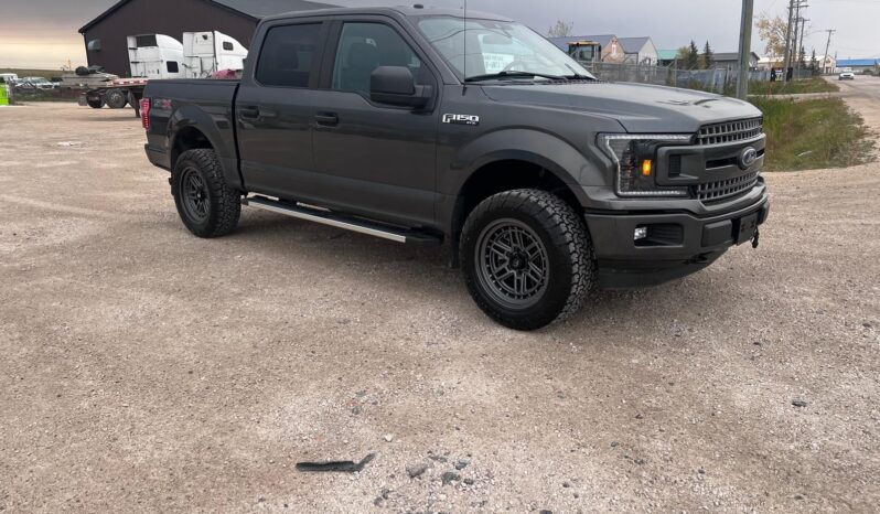 
								2019 Ford F150 full									