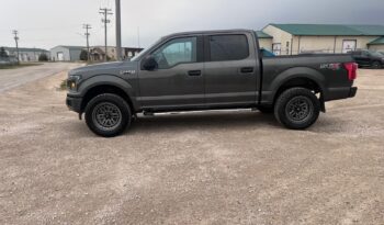 
										2019 Ford F150 full									