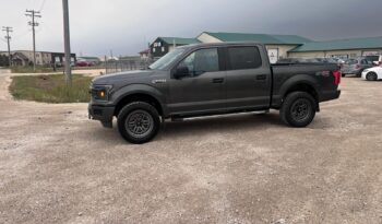 
										2019 Ford F150 full									