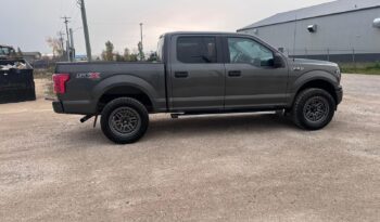 
										2019 Ford F150 full									