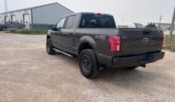 
										2019 Ford F150 full									
