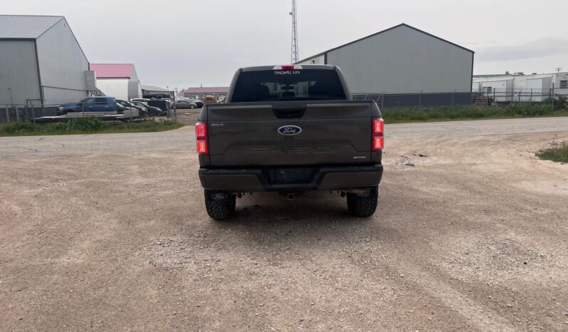 
								2019 Ford F150 full									