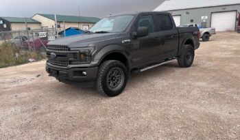 
										2019 Ford F150 full									