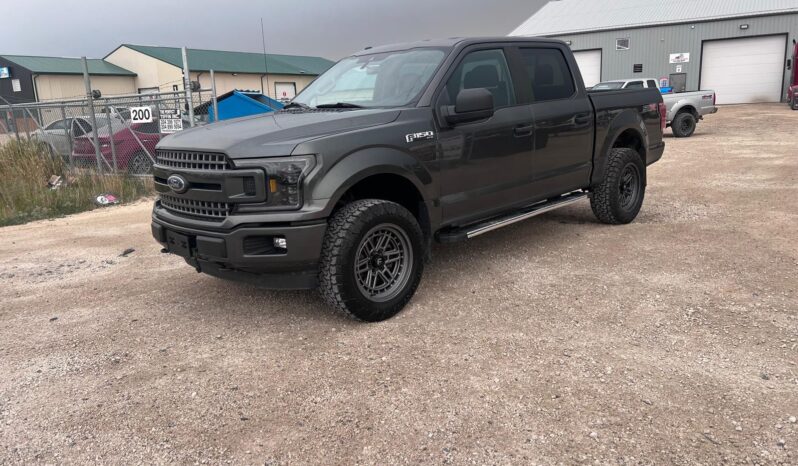 
								2019 Ford F150 full									