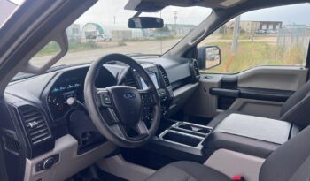 
										2019 Ford F150 full									