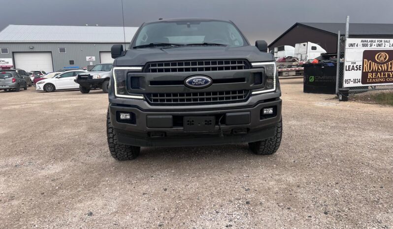 
								2019 Ford F150 full									