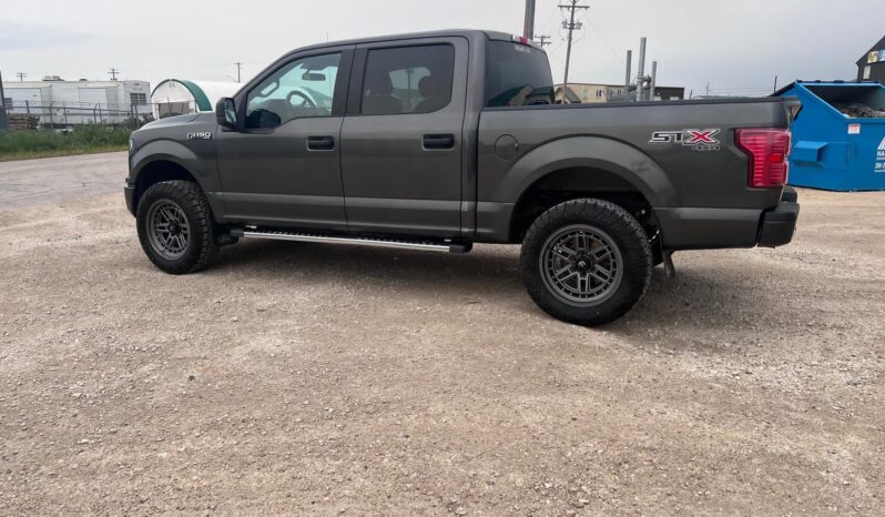 
								2019 Ford F150 full									