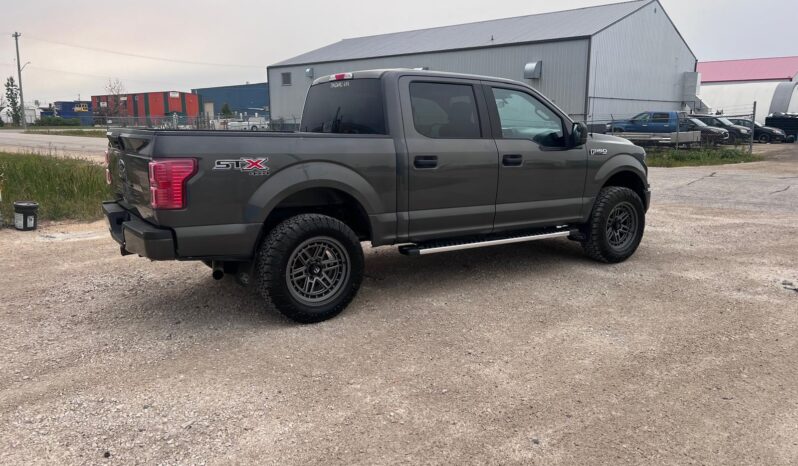 
								2019 Ford F150 full									