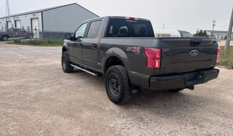 
								2019 Ford F150 full									