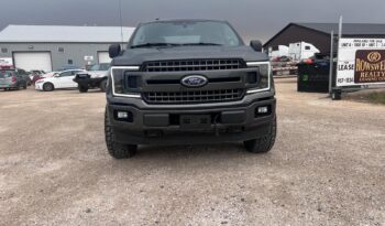 
										2019 Ford F150 full									