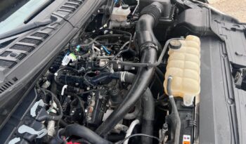 
										2019 Ford F150 full									