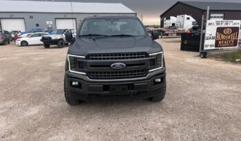 
										2019 Ford F150 full									