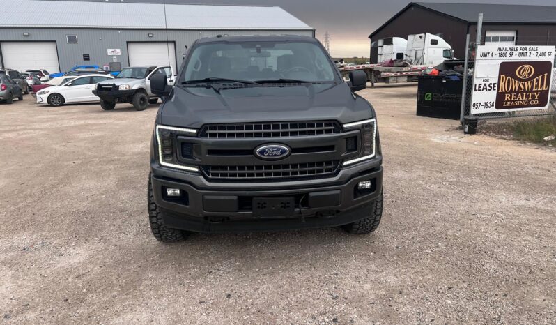 
								2019 Ford F150 full									