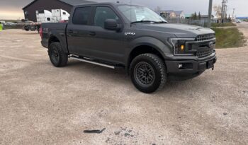 
										2019 Ford F150 full									
